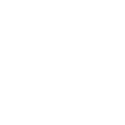 Certified Therapists - Expert Team